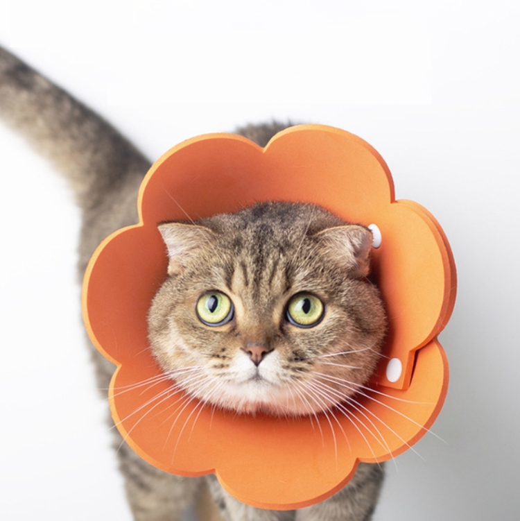 

3 PCS Pet EVA Sponge Lick-proof Sterilization Collar, Size:S 15-21cm(Orange)
