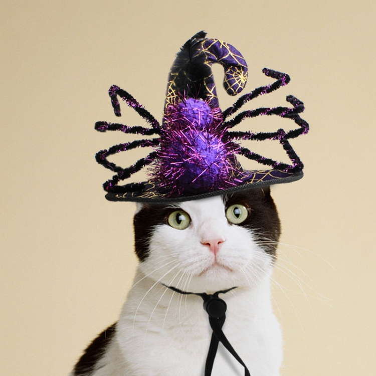 

Pet Supplies Halloween Funny Spider Pet Hat, Size: One Size