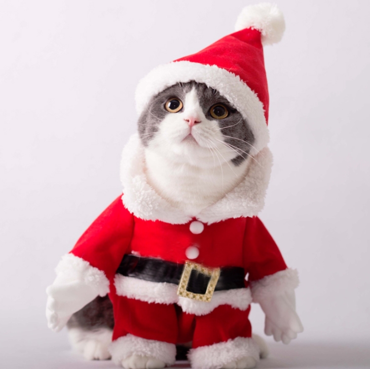 

Pet Three-Dimensional Christmas Suit, Size: L