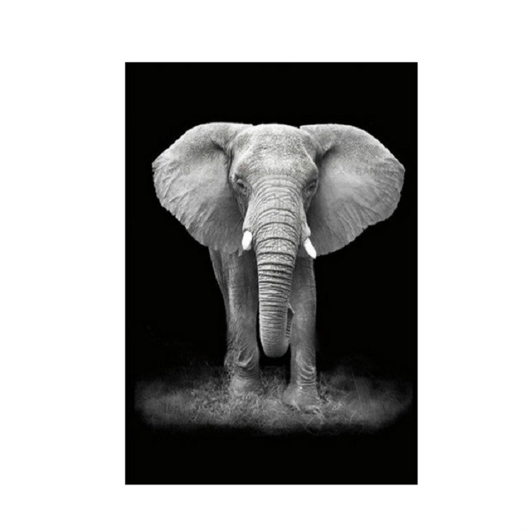 

Simple Black and White Animal Decoration Painting Study Living Room Sofa Background Wall Painting Without Frame, Size:21X30cm(Elephant)