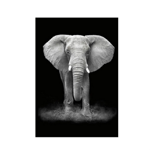 

Simple Black and White Animal Decoration Painting Study Living Room Sofa Background Wall Painting Without Frame, Size:50X70cm(Elephant)