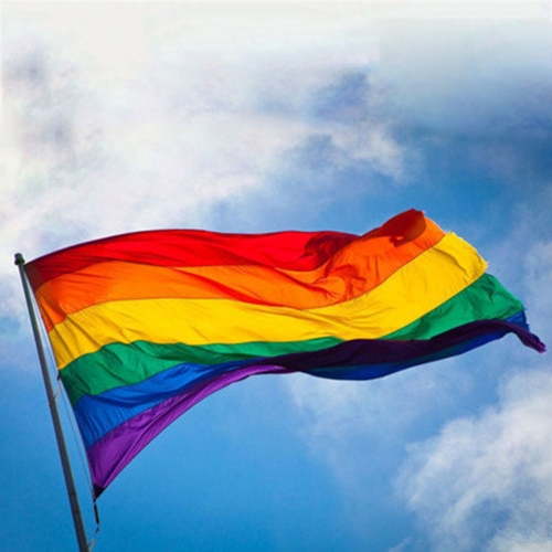 

2 PCS Rainbow Flag Lesbian Gay Parade Banners LGBT Pride Flag, Size:90x60cm