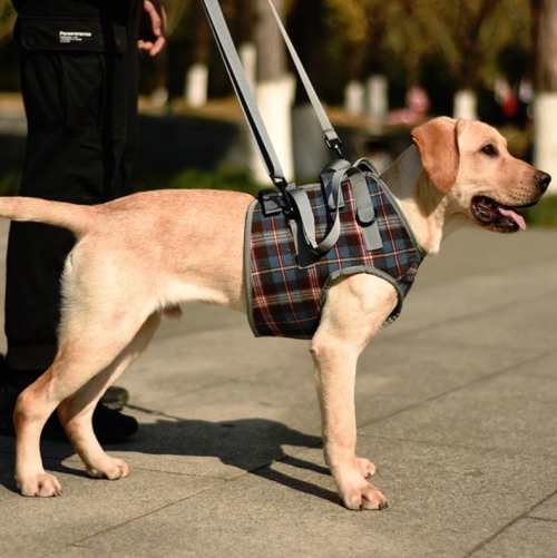 

Pet Leg Straps Disabled & Injured Elderly Dog Auxiliary Belt, Size: S, Style:Front Leg(Blue)