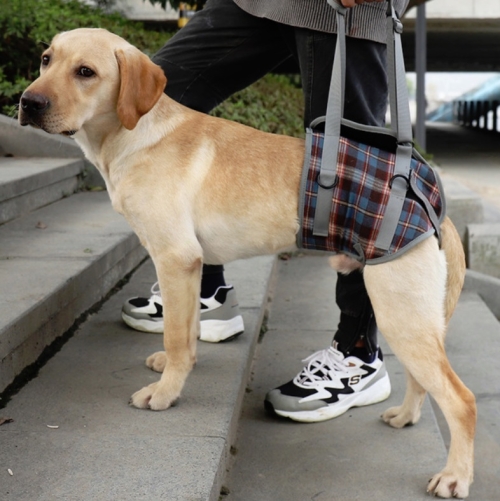 

Pet Leg Straps Disabled & Injured Elderly Dog Auxiliary Belt, Size: M, Style:Hind Leg(Blue)