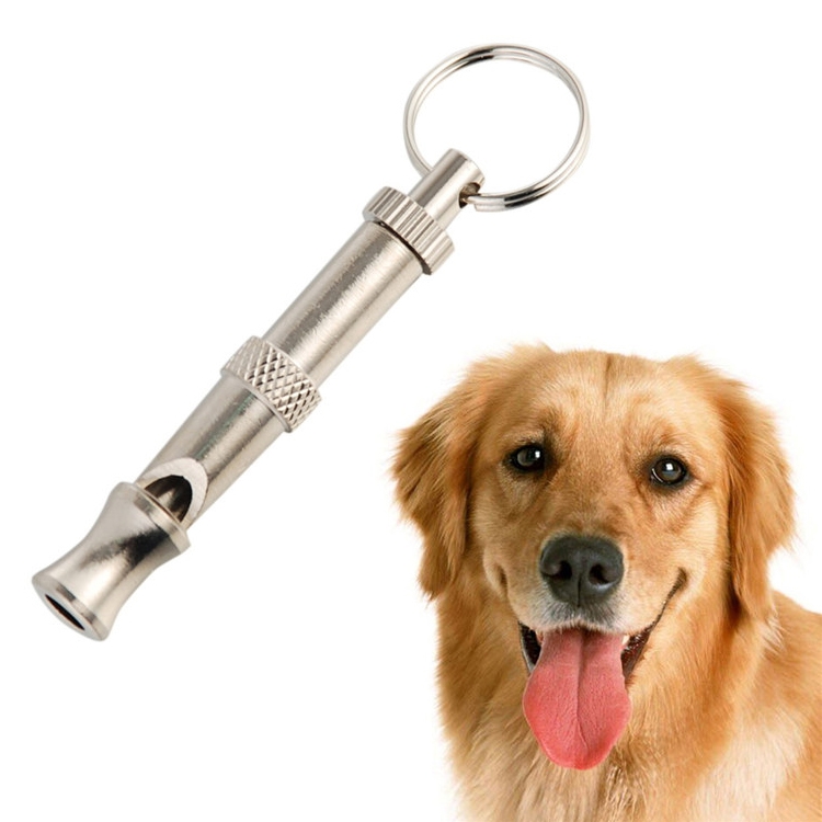 

Pet Dog Ultrasonic Stop Barking Training Whistle(Silver)