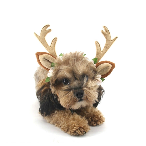 

Christmas Pet Accessories Dog Hairpin Cat Ornament Christmas Antler Headband, Size: M