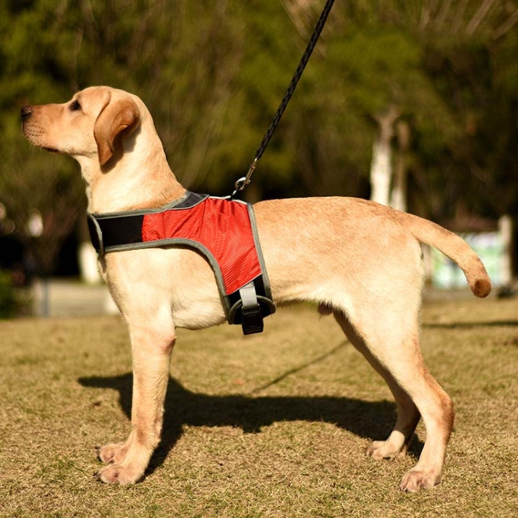 

K-Shaped Luminous LED Harness for Pet Dogs without Rope, Size:M(Wine Red Without Light)