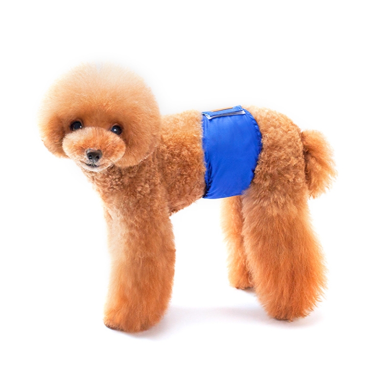 

2 PCS Solid Color Physiology Pants For Pet Male Dogs Polite And Anti-Harassment Puppy Safety Pants, Size: M(Blue)