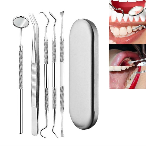 

5 in 1 Silver Box Stainless Steel Dental Tools Dental Care Tartar Tool Dentist Tool Set