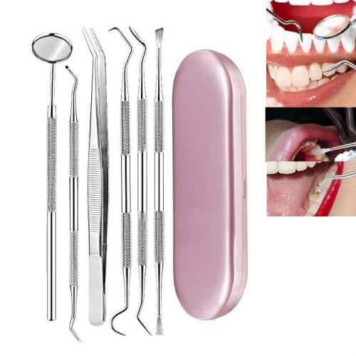 

6 in 1 Pink Box Stainless Steel Dental Tools Dental Care Tartar Tool Dentist Tool Set