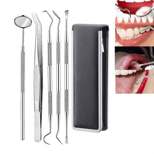 

5 in 1 Steel Side Leather Case Stainless Steel Dental Tools Dental Care Tartar Tool Dentist Tool Set