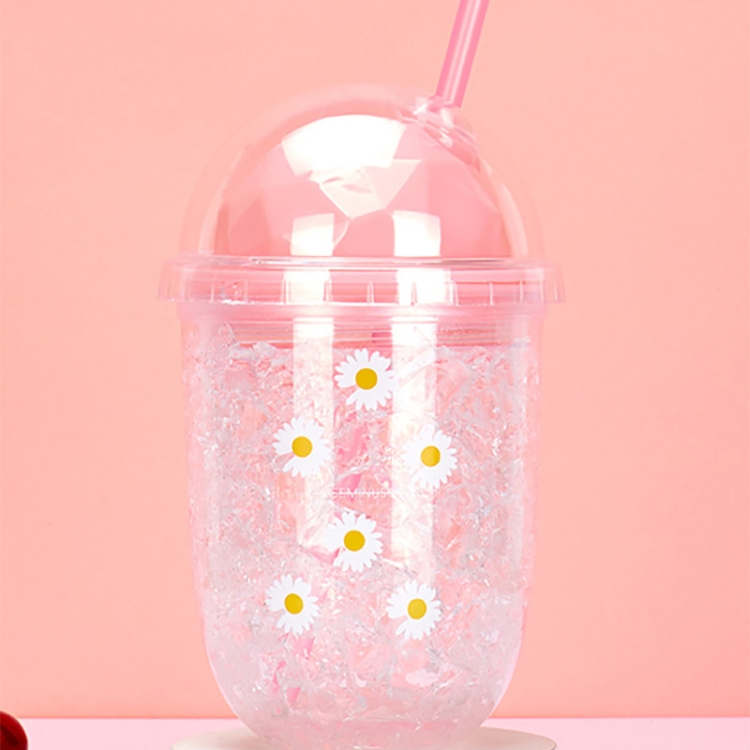 

Double-Layer Outdoor Daisy Portable Drinking Straw Cup