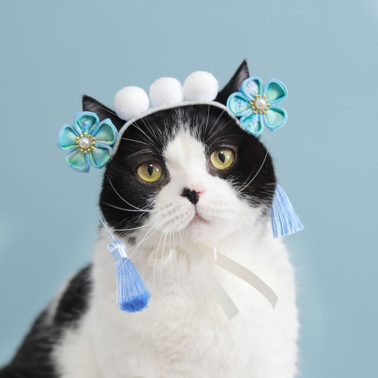 

2 PCS Gege Royal Cat Headdress Dog Birthday Hat Court Crossdress(Blue)