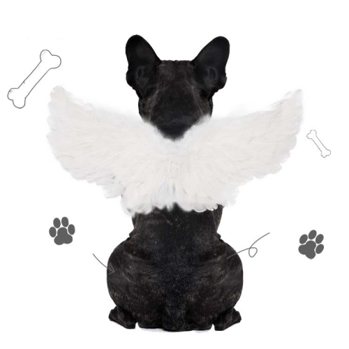 

Pet Christmas Halloween Feather Wings Devil And Angel Holiday Makeup, Specification: S(White)