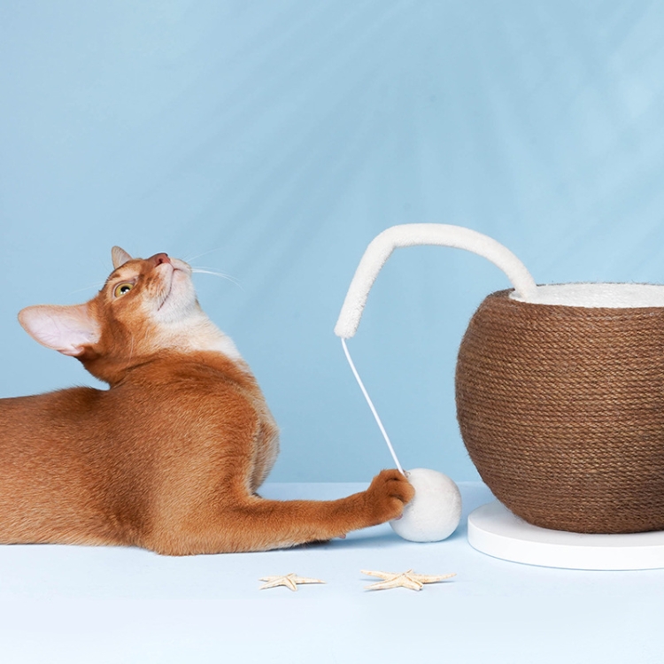 

Sisal Non-Shrinking Coconut Cat Scratch Ball Claw Sharpener