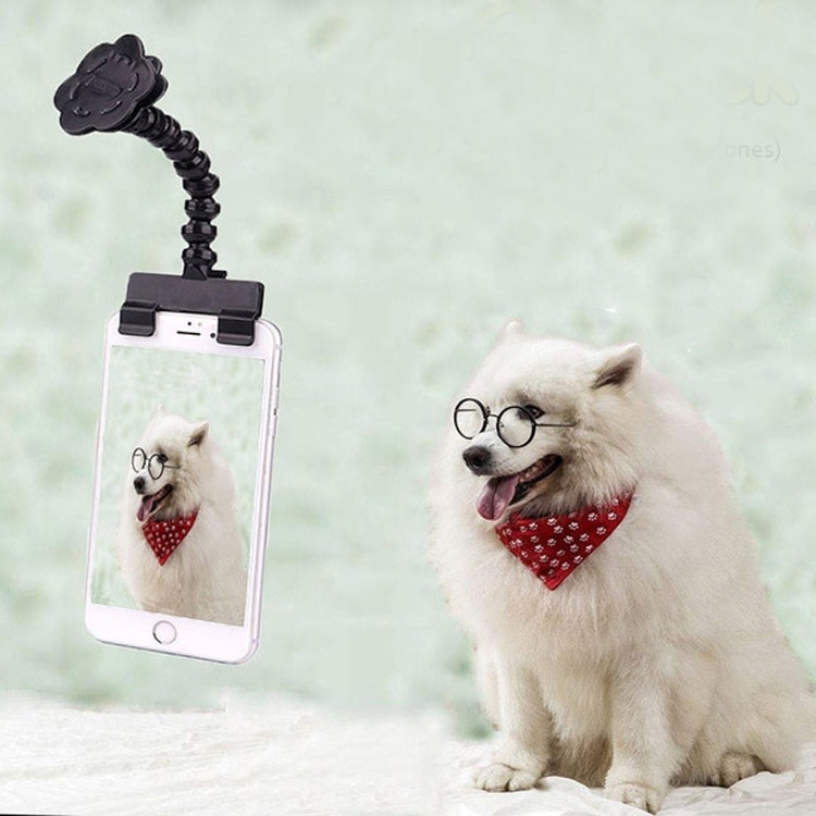 

Pet Camera Artifact Dog Cat Looking At Camera Phone Clip(Black )