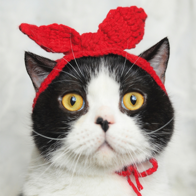 

2 PCS Cat Cute Snow White Knitted Bib Collar, Style: Rabbit Ears