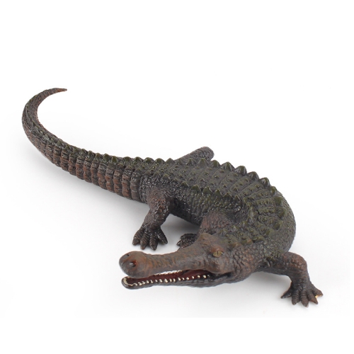 

Children Science Education Cognition Simulation Ocean Wild Ancient Animal Model Black Emperor Crocodile