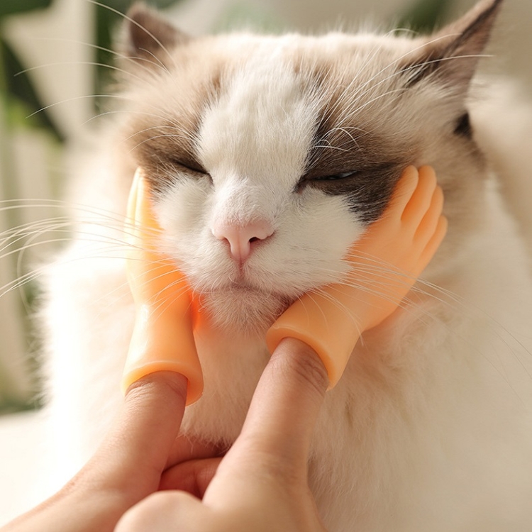 

3 PCS Pet Massage Finger Cots and Cat Gloves