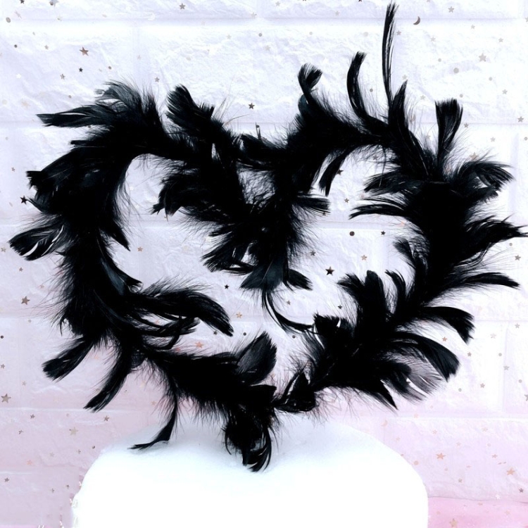 

5 PCS Variety Of Feather Cake Dessert Decoration Black