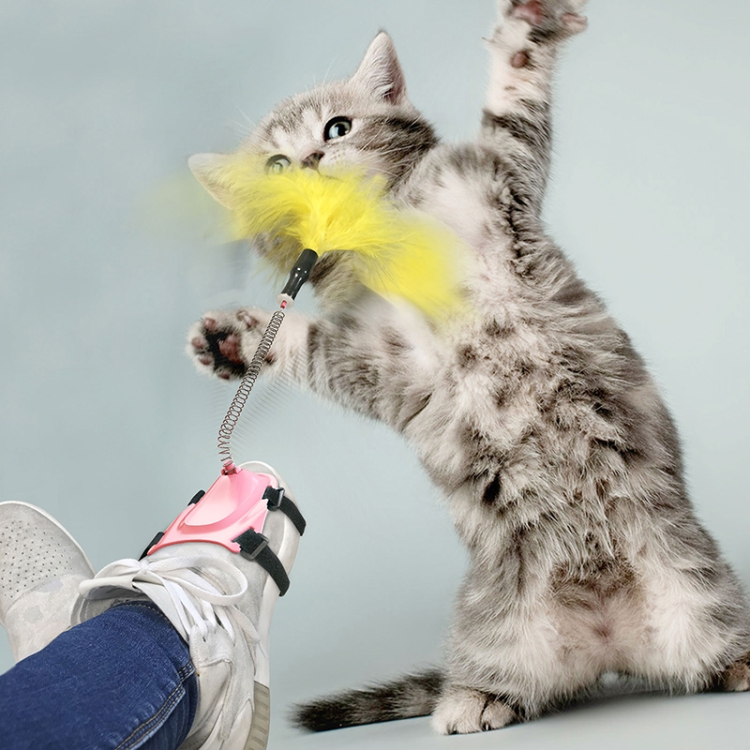 

2 PCS Pet Toy Cat Spring Feather Foot Funny Cat Stick(Pink)