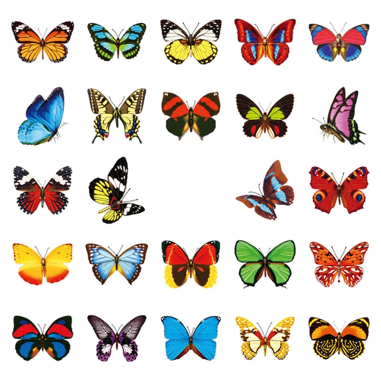 

2 Sets Color Butterfly Glue-Free Electrostatic Film Glass Door Window Refrigerator Decoration Sticker(24 PCS/Set)