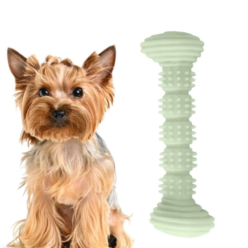 

4 PCS Pet TPR Molar Toy Chew Dog Toothbrush Toy Clean Teeth Molar Tease Dog Stick(Green)