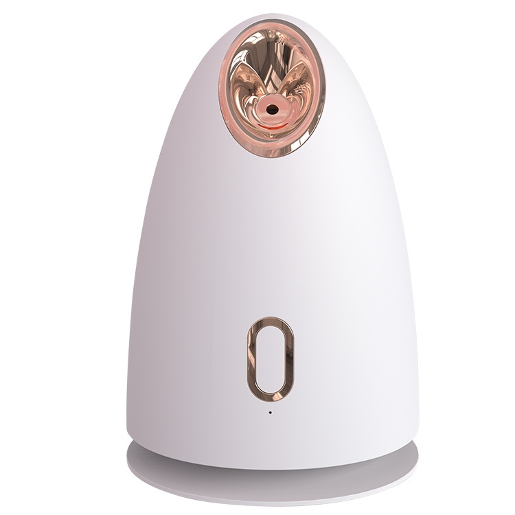 

Household Thermal Spray Aromatherapy Humidifier Nano Ion Beauty Equipment CN Plug(White)