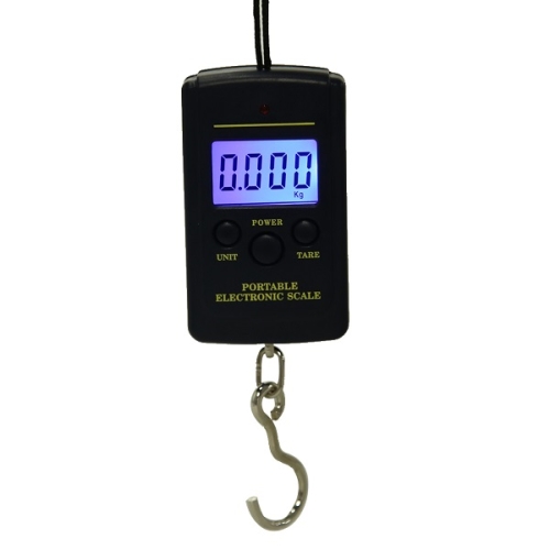 

10g Mini Digital Fishing Scale Travel Weighting Steelyard Hanging Electronic Hook Scale Kitchen Weight Tool, Capacity:40kg with backlight