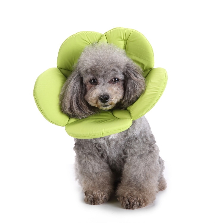 

Pet Protection Collar Dog Flower Protection Collar, Specification: S(Green )
