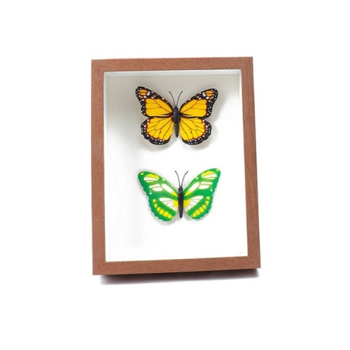 

Hollow 3cm DIY Wooden Three-Dimensional Photo Frame Can Be Used To Make Specimens Of Dried Flowers And Handmade Clay Sculptures, Inner frame size: 8 inch:15.2cmx20.3cm(Walnut)