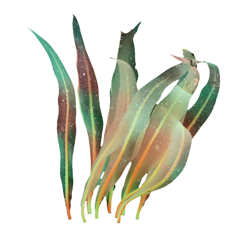 

Aquarium Fish Tank Decoration Landscape Silicone Simulation Coral Artificial Kelp Landscape Decoration, Size: HZ006 25cm Medium(Orange)