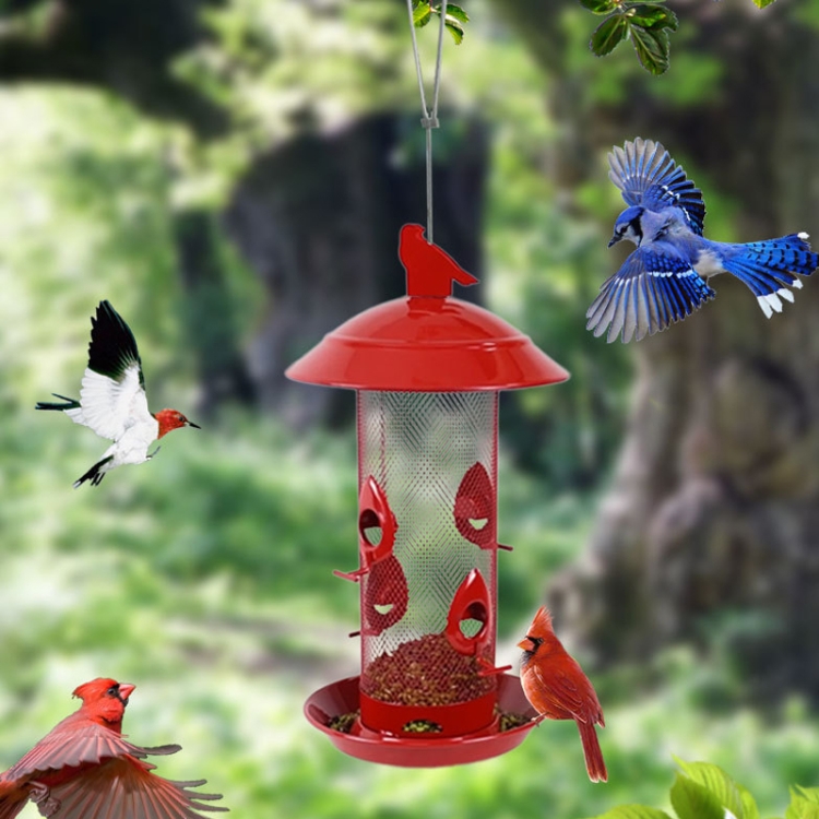 

BF0038 Garden Outdoor Metal Automatic Bird Feeder
