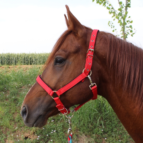 

Nylon Full-Line Board Horse Rein Headstall Equestrian Supplies, Specification: S (Red)