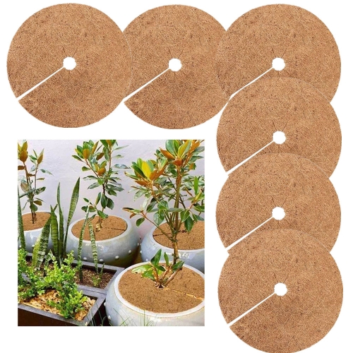 

6 PCS/Set Plant Root Antifreeze Flowerpot Coconut Palm Flat Mat, Size: 20cm