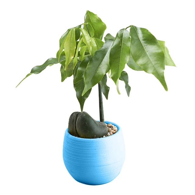 

5 PCS Mini Cute Round Home Garden Office Decor Plastic Plant Flower Pots, Size: 7x7cm(Blue)