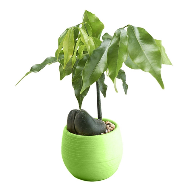 

5 PCS Mini Cute Round Home Garden Office Decor Plastic Plant Flower Pots, Size: 7x7cm(Green)