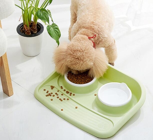 

Dog Cats Pet Feeder Drinking Bowls Food Bowl(Green)