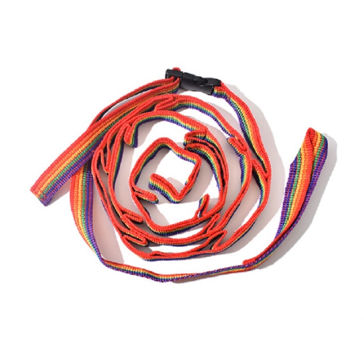 

Multipurpose Colorful Tent Lanyard Tent Rope Cord for Outdoor Camping Accessories, Length: 190cm