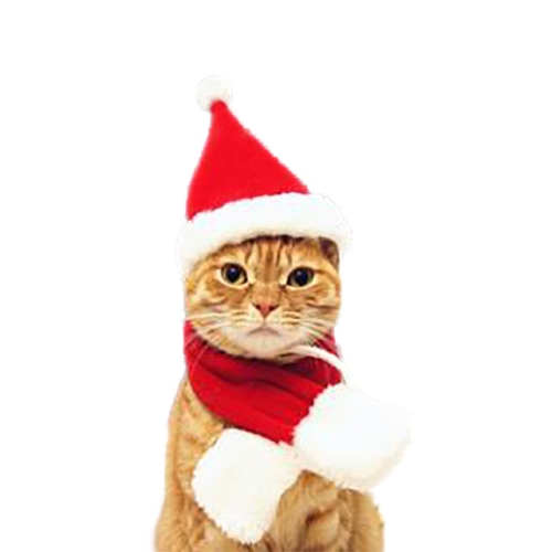 

Cat Dog Christmas Hat Around Christmas Clothes Accessories, Size:S