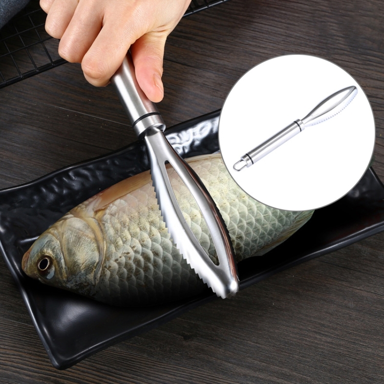 

4 PCS Stainless Steel Fish Scale Planer Household Hand-held Fish Scale Remover