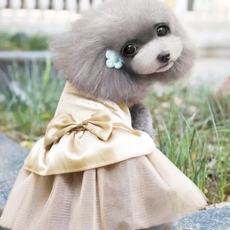 

Pet Clothing Pet Hot Drilling Wedding Dress Skirt, Size:L(Gold)