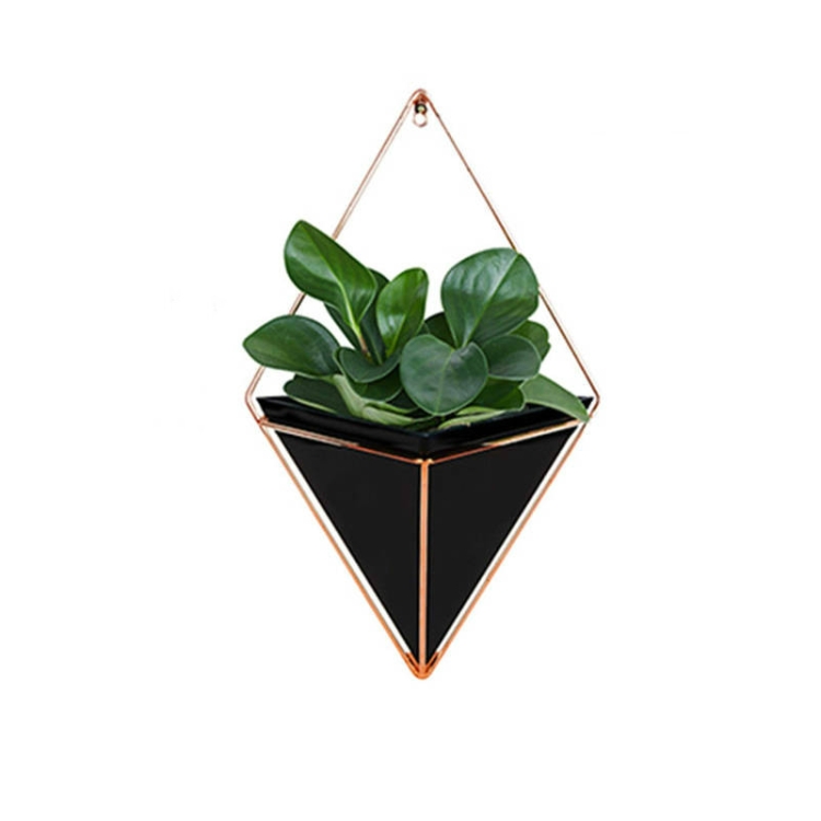 

2 PCS Innovative Hanging Planter Vase Succulent Plants Geometric Wall Decor Container, Size:L(Black)