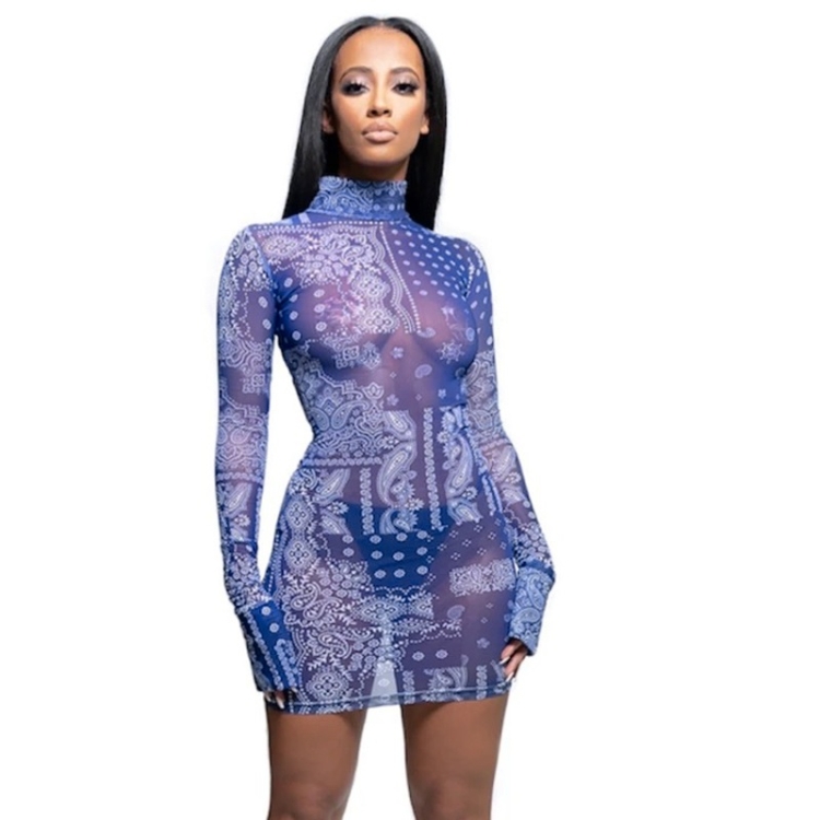 

Printed Mesh See-through Slim Dress (Color:Blue Size:S)