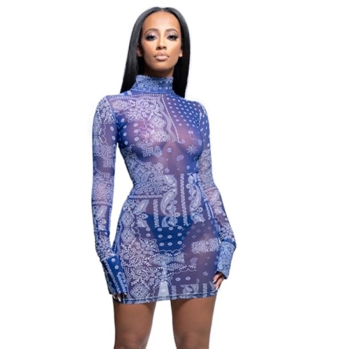 

Printed Mesh See-through Slim Dress (Color:Blue Size:L)