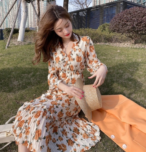 

Spring Autumn Little Daisy Fairy Skirt Floral Chiffon Dress (Color:As Show Size:M)