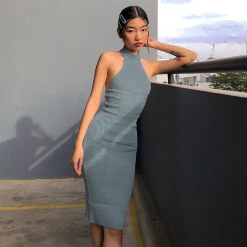 

Ladies Sleeveless Backless Slim Dress (Color:Blue Size:S)